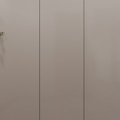 全景