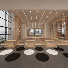 全景效果图展示