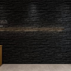 全景效果图展示